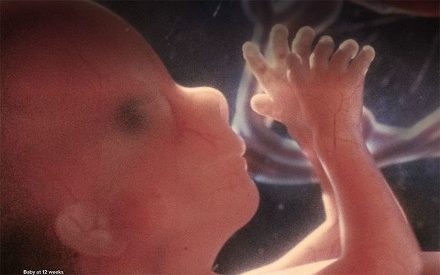 cropped_mi_detail_a_license_to_kill_save_the_8th